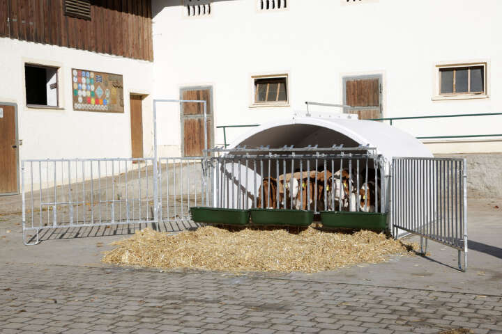 KERBL Hütte CalfHouse Premium XXL ohne Umzäunung